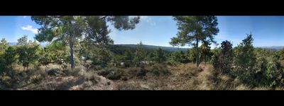 7: 20200928_castellar_de_la_ribera.jpg