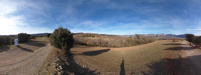 12: 202202160010446_torallola_sant_roc.jpg