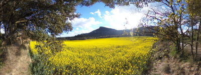 27: 20220424162450_puig_de_balenya.jpg