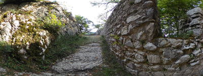 8: 20220728164936_waldenburg.jpg