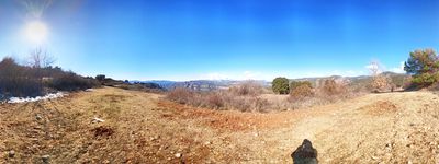 17: 20230303_planell_dels_moltons.jpeg