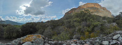73: 20240430r0010026_desarrocat_pessonada.jpg