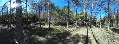 83: 20240509r0010149_esbarsabina.jpg