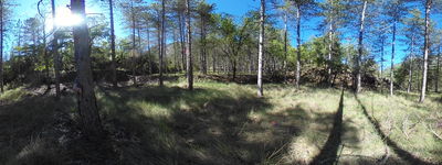 84: 20240509r0010150_esbarsabina.jpg