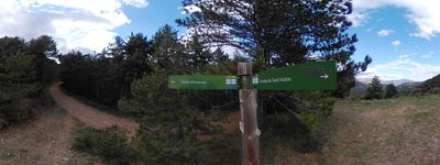 17: 20240516r0010271_erinya_sant_isidre.jpg