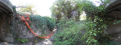 23: 20240602r0010409_aramunt_vell.jpg
