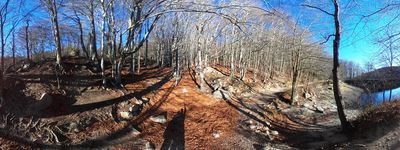 11: 20250112150850_santa_fe_del_montseny.jpg