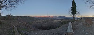19: 20250205170418_torallola.jpg