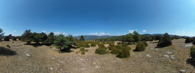12: 202508231903r0010772_espla_muntanya_de_cuberes.jpg