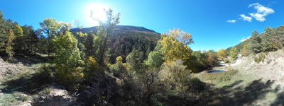 127: 202510111102_yp30134048_molina_de_carreu.jpg