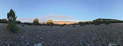 24: 202512091527r0010245c_llau_de_coll_pan.jpg
