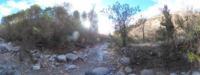13: 202602031502r0010963.jpg