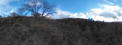 10: 202602041538r0011001.jpg