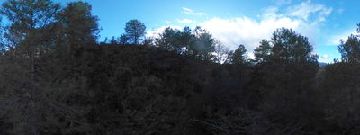 15: 202602041543r0011006.jpg