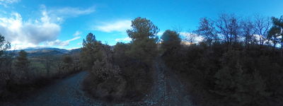 17: 202602041547r0011008.jpg