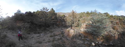 23: 202602091512_el_barranc_a_la_font_de_la_figuera.jpg