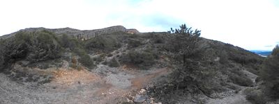 33: 202602091539_l_aigua_es_al_barranc.jpg