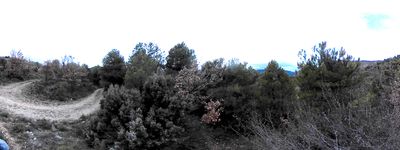 43: 202602091558_entrada_al_sender_de_les_fonts.jpg