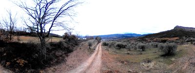 49: 202602091610_enrere_per_la_dreta_surt_el_cami_cap_el_pont_penjat_de_l_aigua_de_la_figuera.jpg