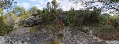 13: 202602141444r0010311_serra_de_claverol.jpg