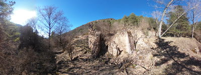 136: 20260326151340_moli_de_carreu.jpg