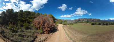 2: 202610081122r0011387c_cami_del_bosc_de_serradell.jpg