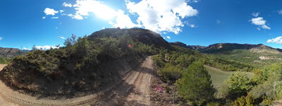 3: 202610081125r0011388c_cami_del_bosc_de_serradell.jpg