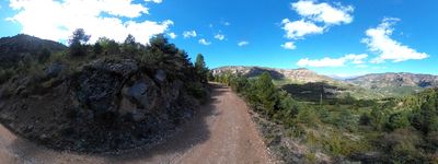 4: 202610081130r0011389c_cami_del_bosc_de_serradell.jpg