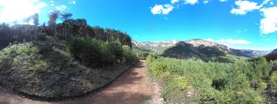 14: 202610081201r0011399c_cami_del_bosc_de_serradell.jpg