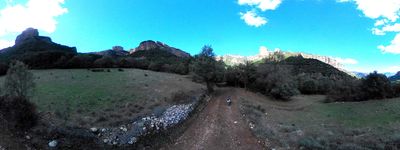 16: 202610081205r0011401c_cami_del_bosc_de_serradell.jpg